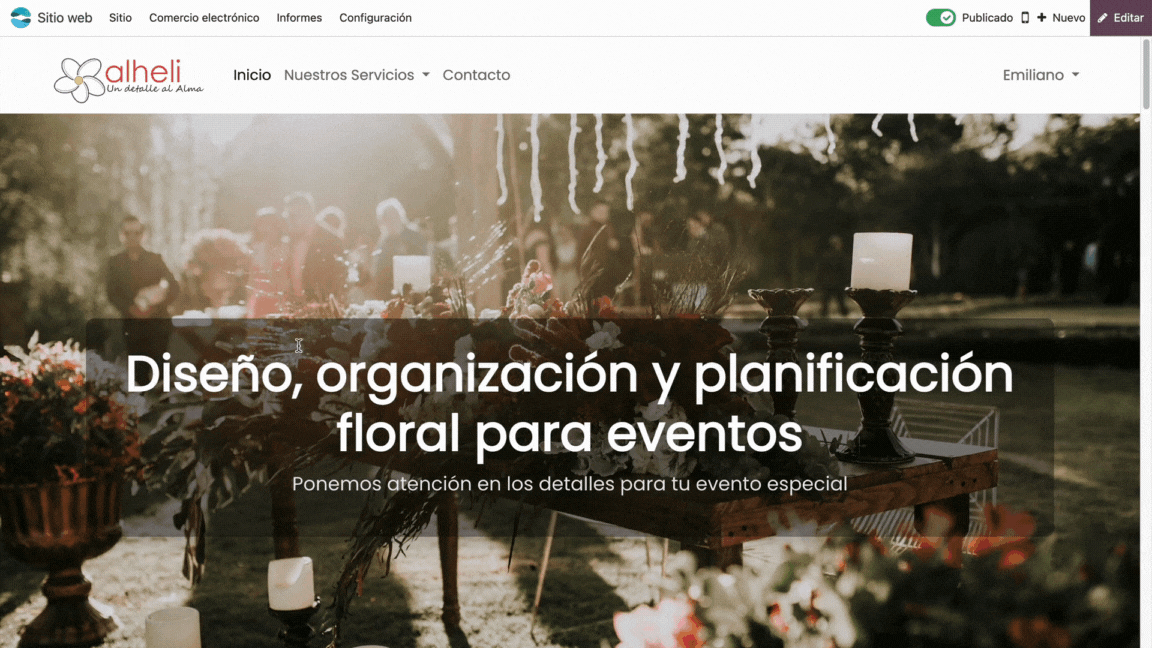 Diseño sin título
